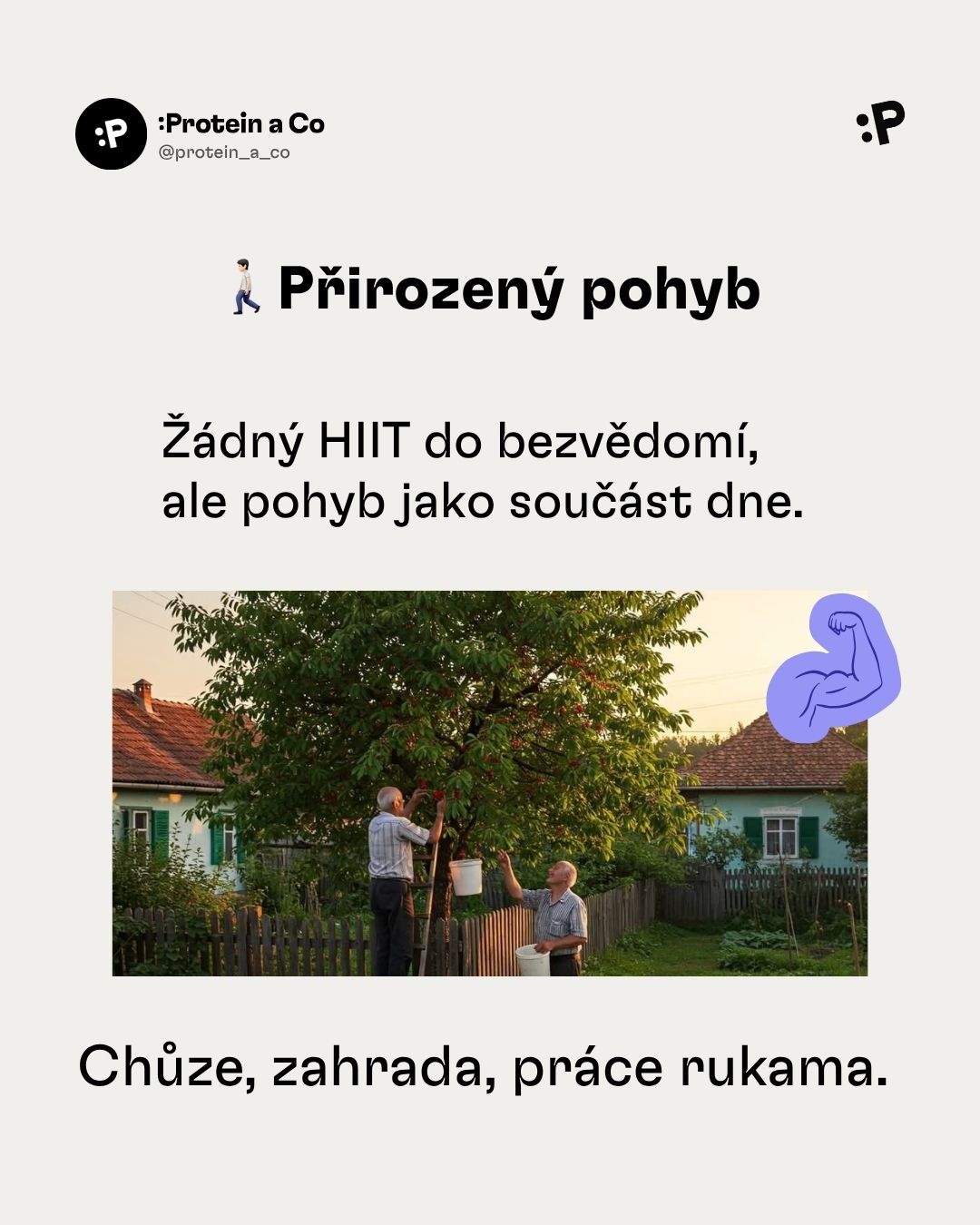 Jak-se-dozit-100-let-1-clanek-proteinaco